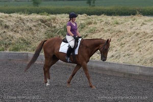 ISIS Dressage Challenge 2008